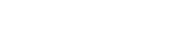 bertazonni logo