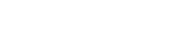 viking logo